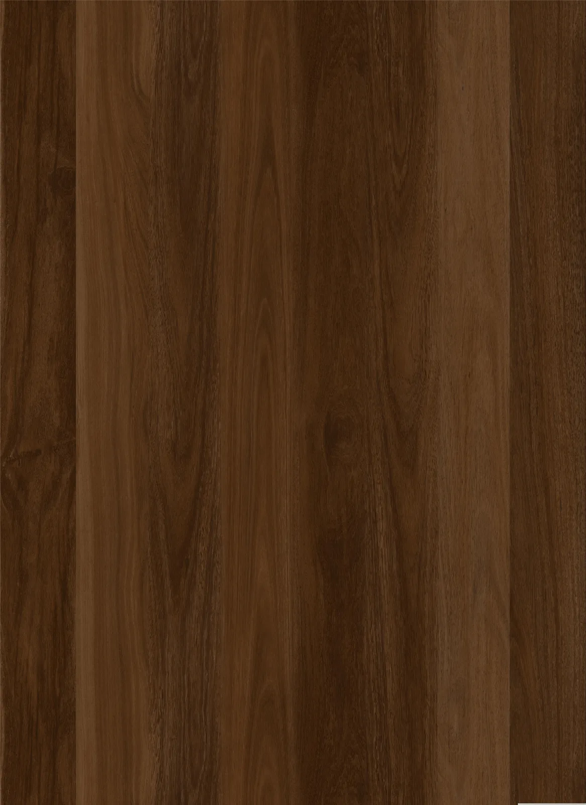 Auburn Oak