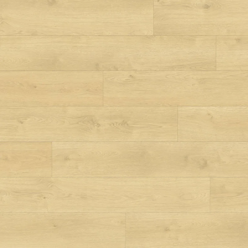 Shorewood Khaki
