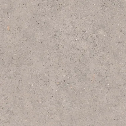 Biophilic Grey