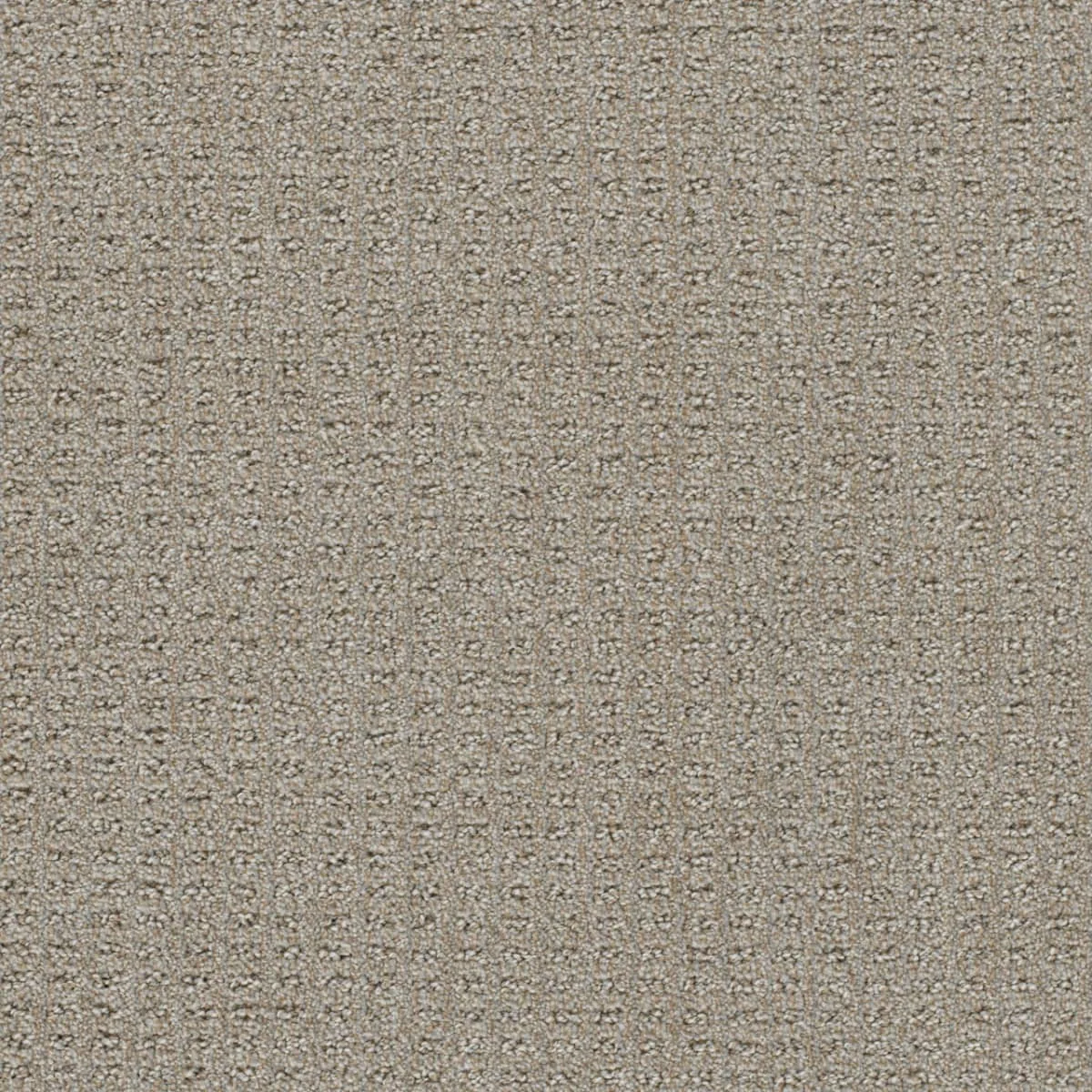 Perfect Balance 3585 broadloom carpet in Lodgestone color, woven polypropylene material, 12ft wide