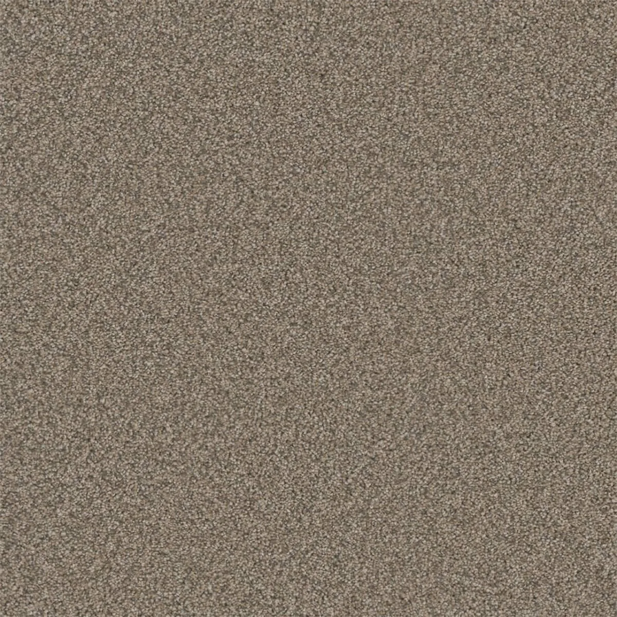 Royale I 5137 Broadloom Carpet in Rugby color, woven polypropylene material, 12ft wide
