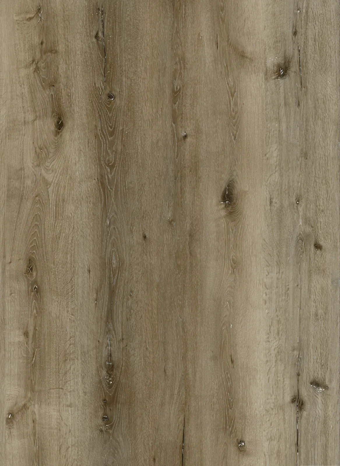 Hickory