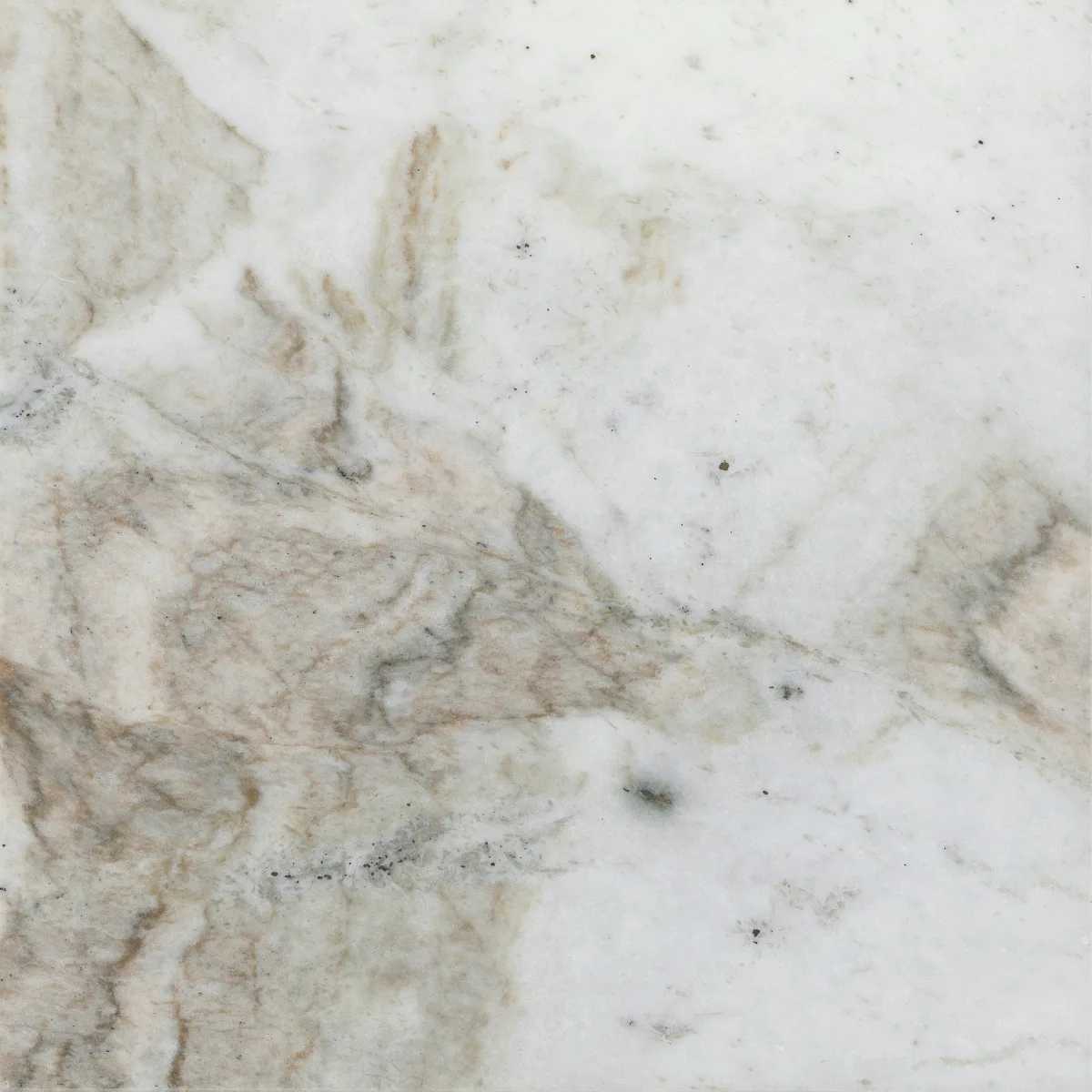 Marble Kalta Fiore 12x12 Milano Beige Polished Natural Stone Tile