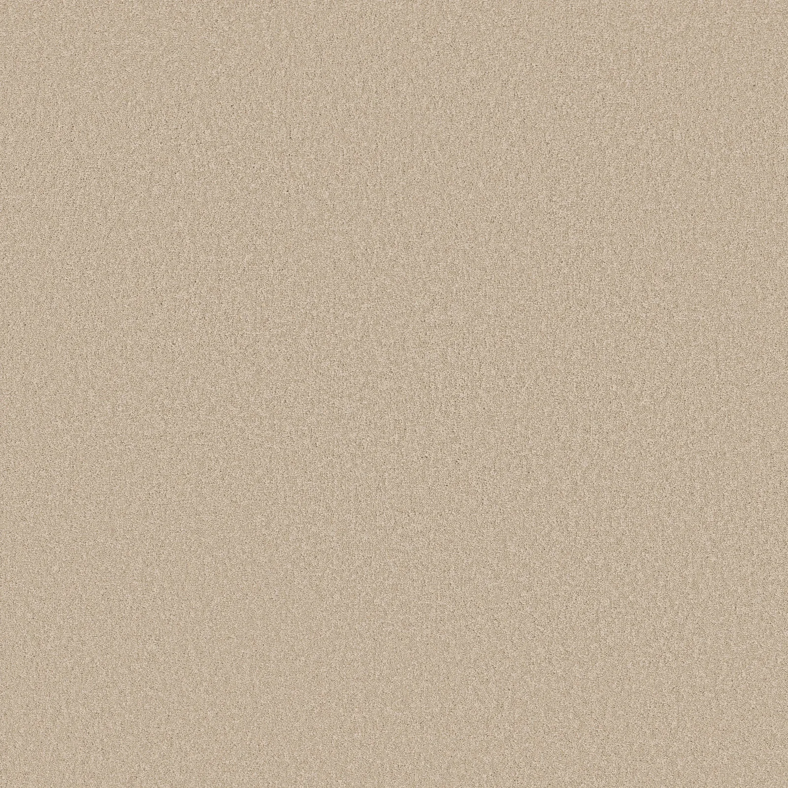 Everyday Comfort's 52P07 Broadloom Carpet in Log Cabin color, made of 100% nylon, 12ft wide, textured finish.