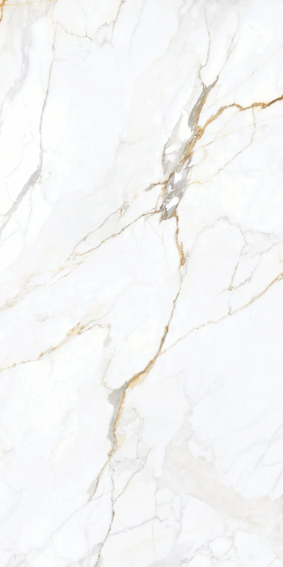 Apollo White