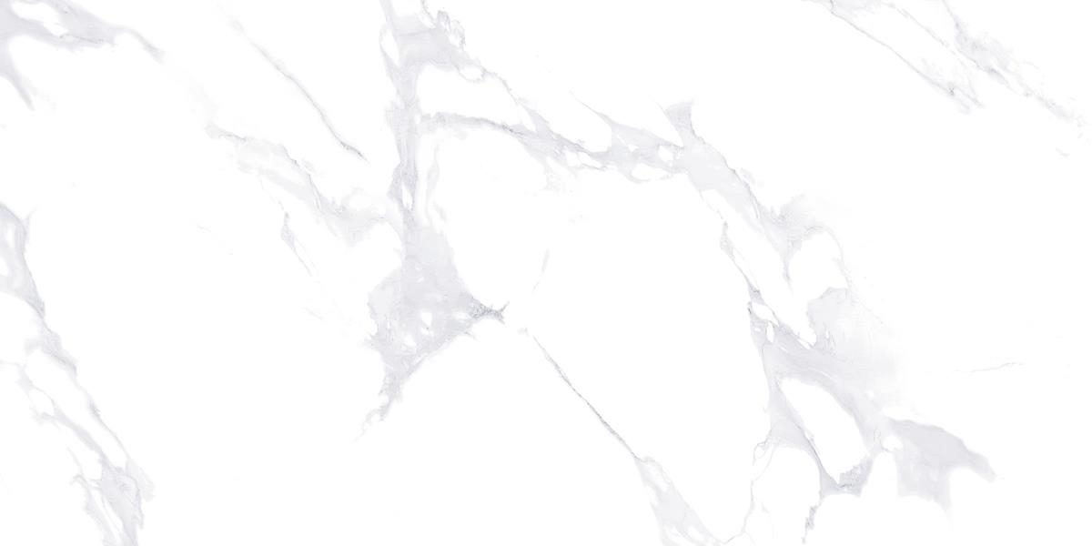 Carrara Grey porcelain tile in polished and matte finishes, gray color, available in 24x48 and 24x24 sizes