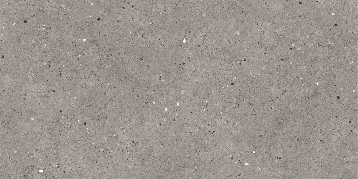 Petra Gris Beige Porcelain Tile 24x48 Matte Finish