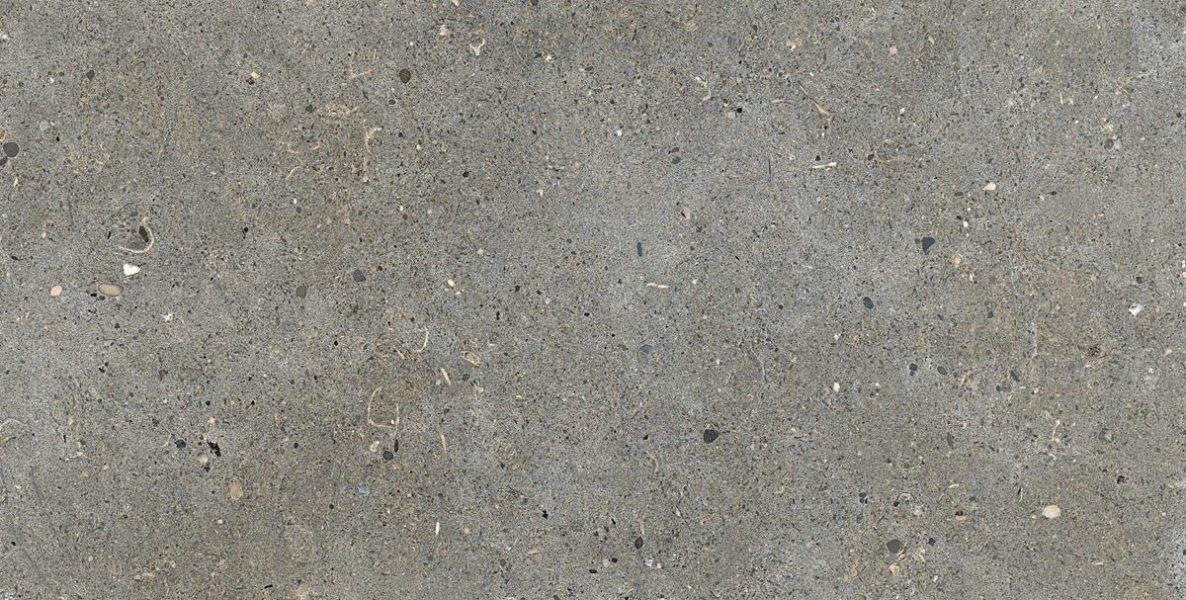 TT01 Gray Matte Porcelain Tile 12x24 size, perfect for floor and wall applications, made from durable porcelain material.